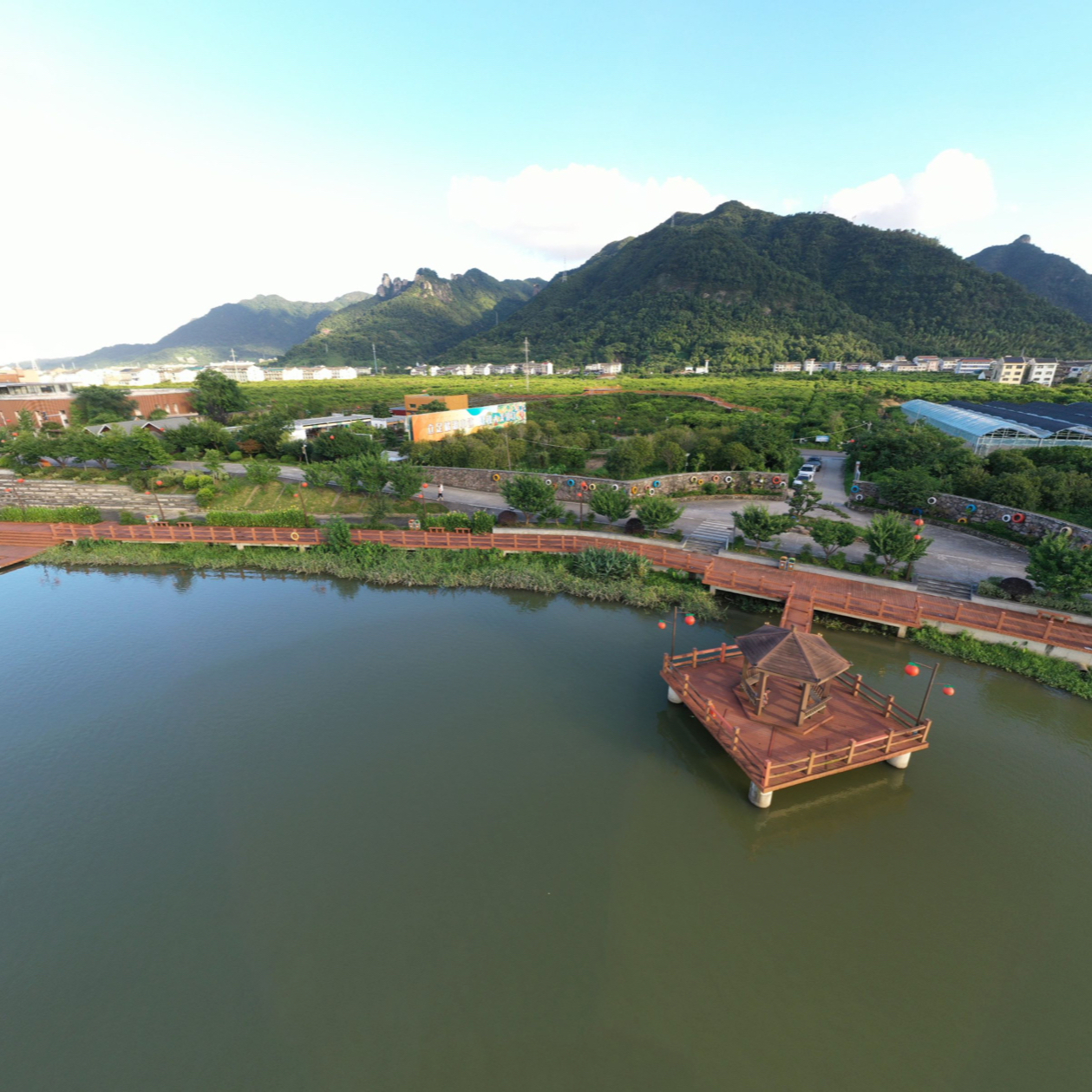 黄岩柑橘园全景图