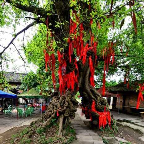 黄桷门风情古镇