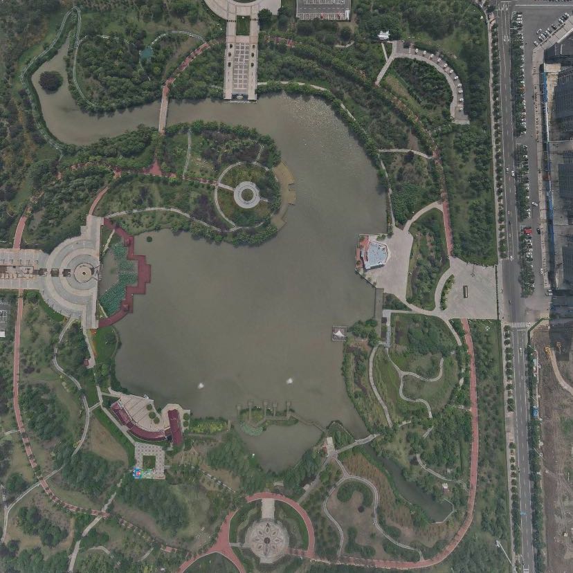 阜宁白天鹅公园