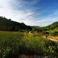 天水-美丽的梨树湾