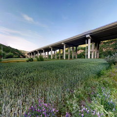 麦田里的守望者