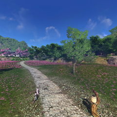 【天涯明月刀】东越-万蝶坪.带人