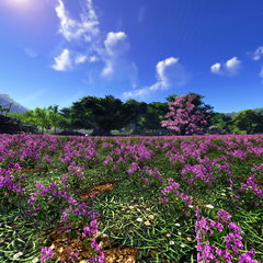 天涯明月刀OL-东越-万蝶坪