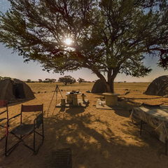 纳米比亚看奇幻星空