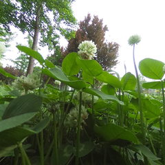 夏天终于要来了吗