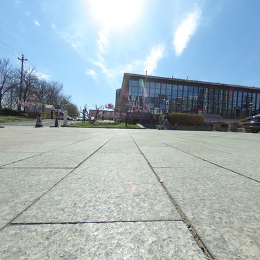 望湖公园的春天