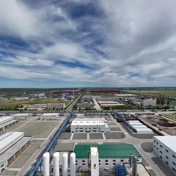 大安风光制绿氢合成氨一体化示范项目