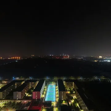 鹤工夜晚