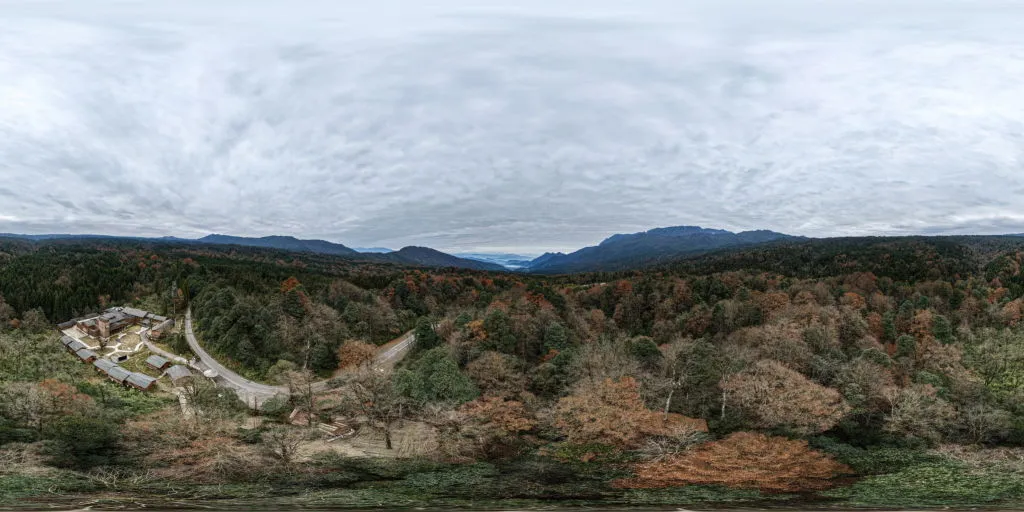 荥经县古树名木