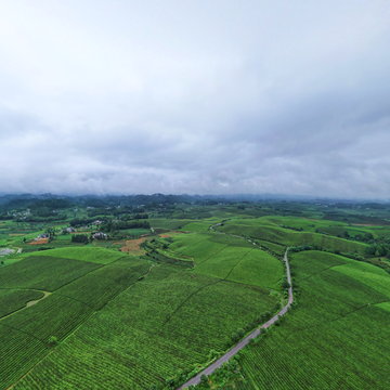 湄潭县茶海风景区（VR全景）