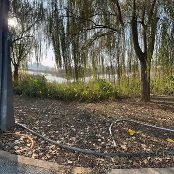 全景图_20251111T054734