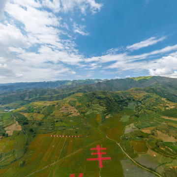 中国辣椒第一镇 乐业辣椒丰收啦！