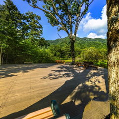 湖北神农架 大九湖国家湿地公园