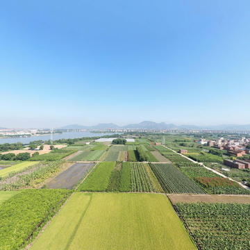 沙洲农田全景