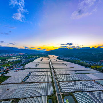 VR全景：云南会泽万亩蔬菜产业基地