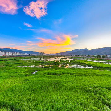 云南会泽：清凉蔓海