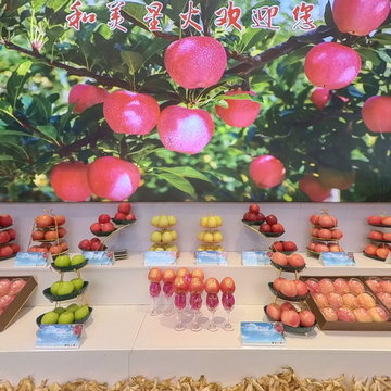 和美星火欢迎您