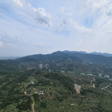 颜庄柿子树下露营地