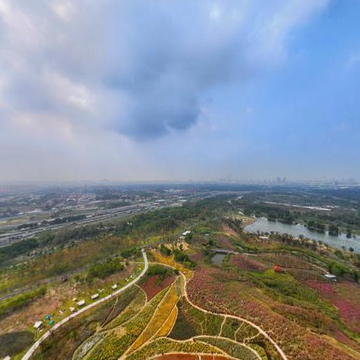 上海滨江森林公园全景图