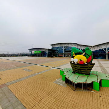 粤港澳的菜篮子供应原来来自这个小地方