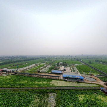 万亩荷花生态园