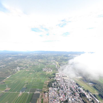 河南省平顶山市鲁山县董周乡董村20230730