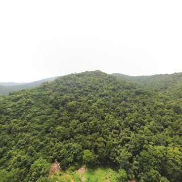 物是人非的老家