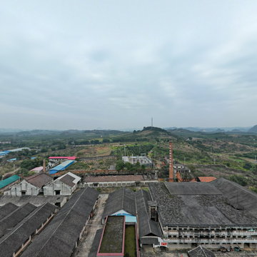 柳城华侨农场茶厂