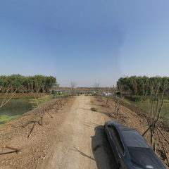 4号弃土区大门樱花