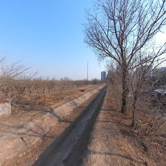 杜家场在哪里？ 