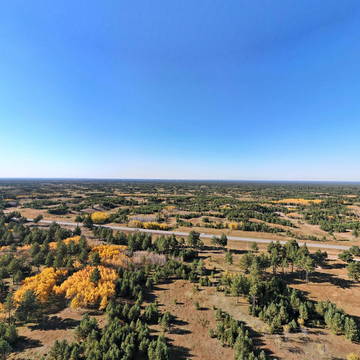 呼伦贝尔&mdash;秋天林海