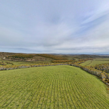 呼伦贝尔的草原