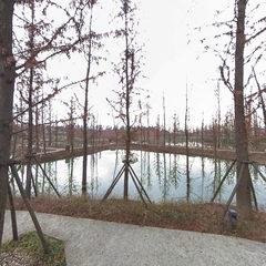 春节游东线第一帆纪念公园