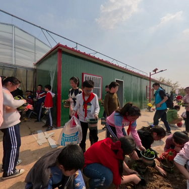 综合实践活动之一