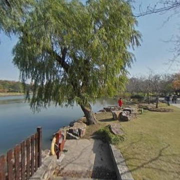 这才是秋天该有的样子