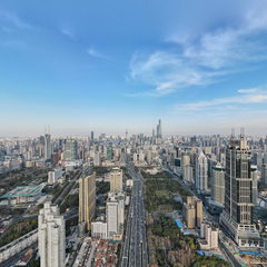 延安东路立交桥1