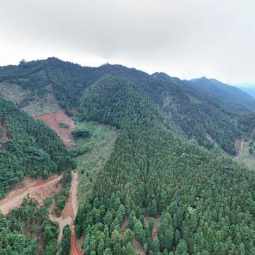 览沙那捞2024.8.28