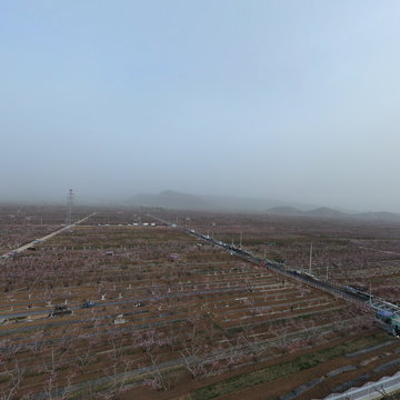 2023北京平谷国际桃花节