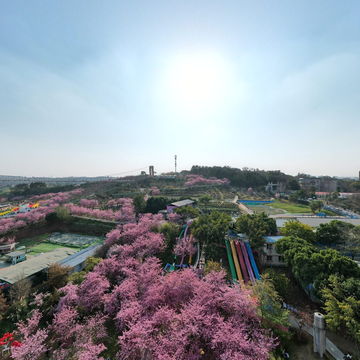 新都漫花庄园景区