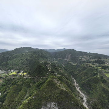 奉节大树全景VR