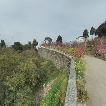 318国道龙泉驿桃花故里景区