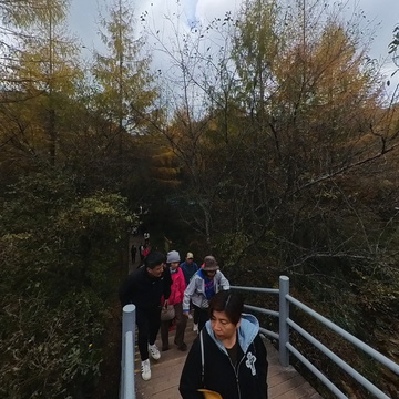 米仓米黑熊沟小桥