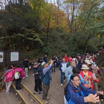 米仓山黑熊沟彩林