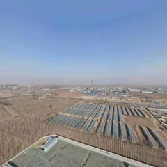 辛集市育德学校