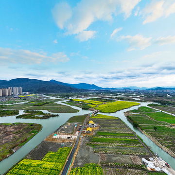 VR全景三垟油菜花