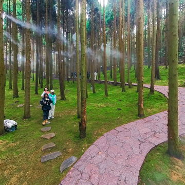 乐清祺泰森林氧吧