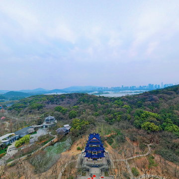 鼋头渚赏樱阁20230311