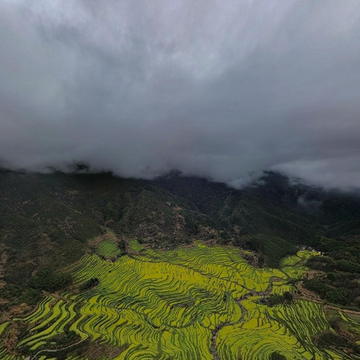 婺源油菜花全景