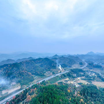 湄潭抄乐红光有机茶园基地