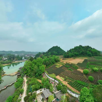 湄潭浥园风光美